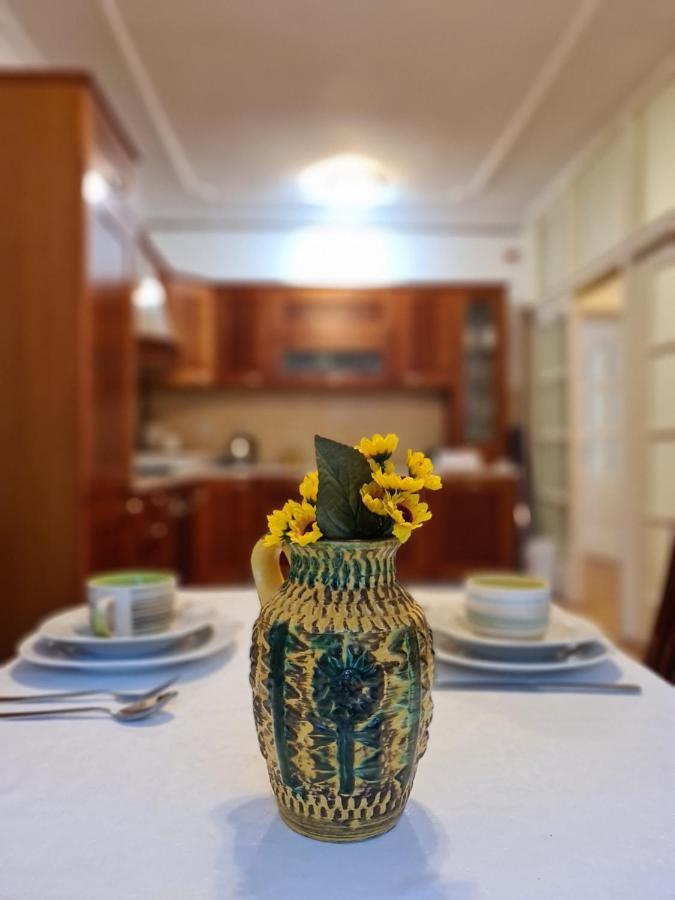 City Center Apartment サラエヴォ エクステリア 写真